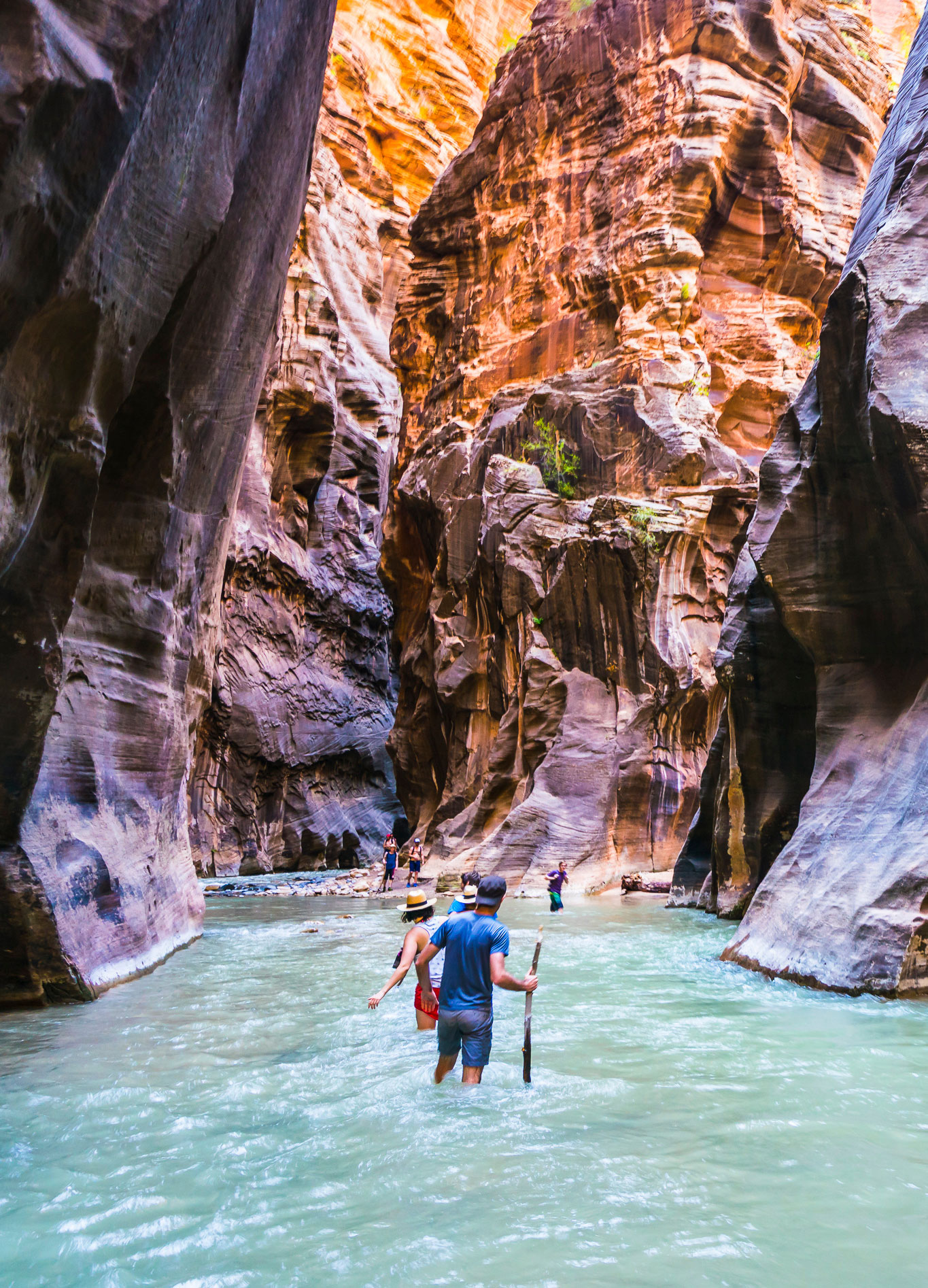 Red rock formations of Zion National Park