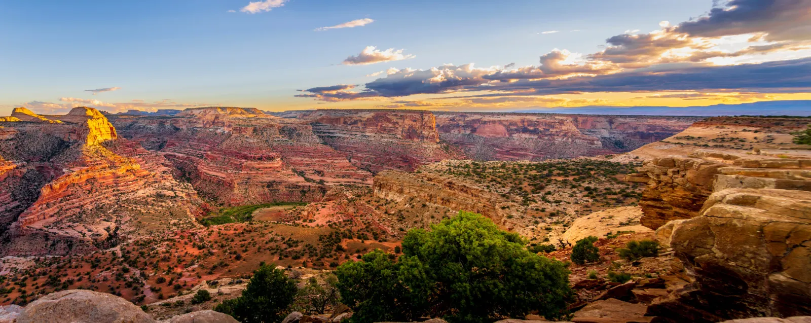 Spring Break in St. George, Utah: A Group Planning Guide