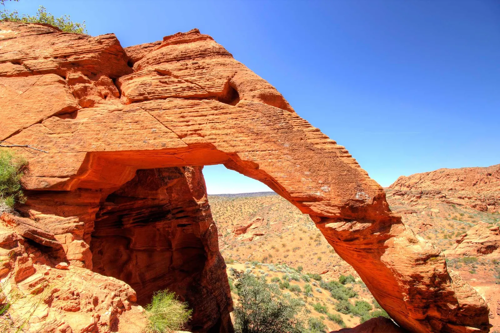 Things to Do in St. George, Utah: A Local's Guide for Your Stay